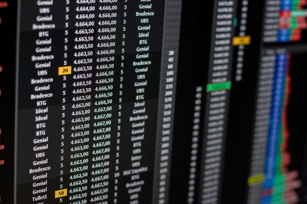 Comment une gestion financière éclairée construit une entreprise durable et respectueuse de l'environnement ?